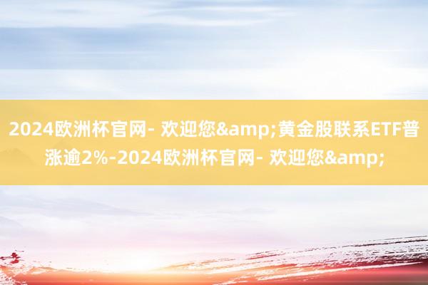 2024欧洲杯官网- 欢迎您&黄金股联系ETF普涨逾2%-2024欧洲杯官网- 欢迎您&