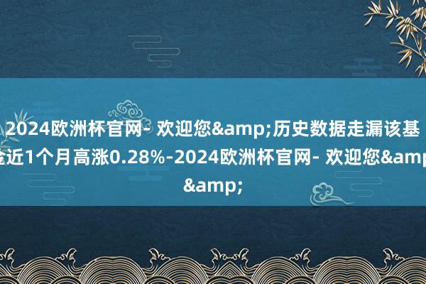 2024欧洲杯官网- 欢迎您&历史数据走漏该基金近1个月高涨0.28%-2024欧洲杯官网- 欢迎您&